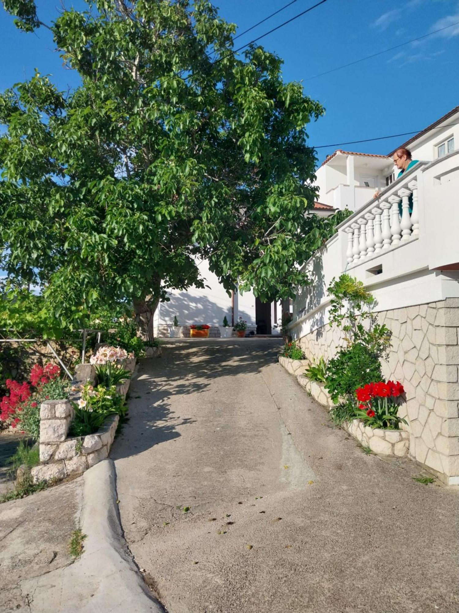 Ljubica Apartments And Rooms Supetarska Draga Exterior photo